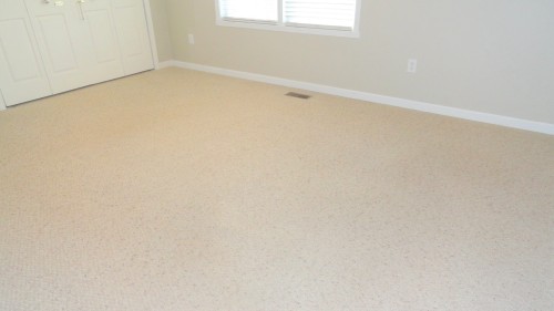 clean carpet (after Heaven's Best Carpet Cleaning)